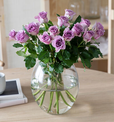 Lilla roser i gavepose med bobler  Lilla roser i gavepose med bobler